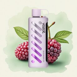 VOZOL Gear Shisha 25000 Puffs Черница Леден 1000mAh Dual Mesh