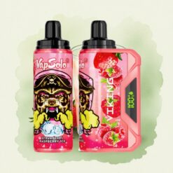 VapSolo VIKING 12000 Puffs Ягодов Лед с 22 мл и 20 мг/мл никотин