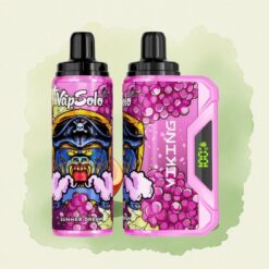 VapSolo VIKING 12000 Puffs Лятна мечта 22 мл никотин