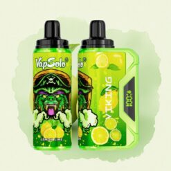 VapSolo VIKING 12000 Puffs Лимон Лайм 22ml 20mg никотин Type-C