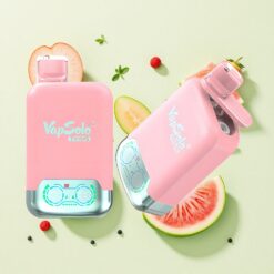 Vapsolo Twins 20000 Puffs Ягодов Лед & Манго Праскова Дин 40ml 50mg/ml никотин